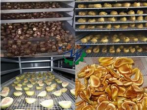 Lyophilisateur automatique de qualité alimentaire Liofilizador à <span class=keywords><strong>condensation</strong></span> de fruits et légumes pour fleurs - Product Image 3