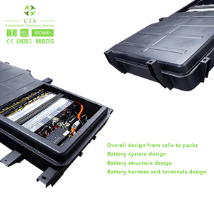 Batteria agli Ioni di Litio di Alta Qualità 300V 100Ah, Pacco Batteria 300kWh 50kWh per Veicoli Elettrici LiFePO4 - Product Image 5