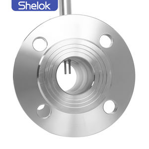 เครื่องวัดอัตราการไหลแบบเทอร์มอลของเชล็อก อินดัสเทรียล ผลิตจากสแตนเลส เหมาะสำหรับการวัดอากาศและก๊าซ รองรับ OEM ปรับแต่งได้ - Product Image 5