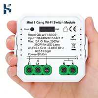 Module d'interrupteur intelligent WiFi Tuya Mini 16A, contrôle bidirectionnel, compatible avec Alexa, Google Home, Alice