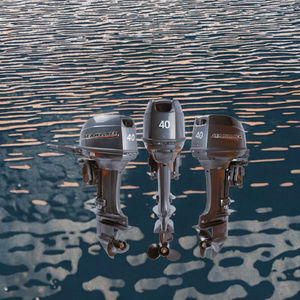 SEAWALKER PNT40 Fabrika Çıkışlı Yeni 40hp Benzinli Dıştan Takma 2 Zamanlı Motor Manuel Çalıştırmalı Tiller Kontrol Uzun Kısa Şaft Seçenekleri - Product Image 3