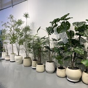 <span class=keywords><strong>Olivier</strong></span> artificiel réaliste <span class=keywords><strong>en</strong></span> <span class=keywords><strong>pot</strong></span> avec fruits, plante d'<span class=keywords><strong>olivier</strong></span> artificielle pour décoration intérieure de villa et d'hôtel - Product Image 6