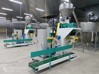 Machine d'emballage de poudre en sachets à ouverture par le haut avec pesage par vis pour l'intégration en ligne de production
