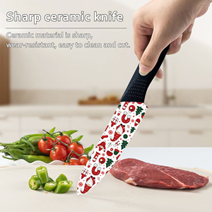Cuchillo de Cocina Ecológico y Económico con Hoja de Cerámica y Mango de Plástico, Cuchillo de Chef Afilado, Venta al por Mayor de Fábrica, Tienda de Comercio Electrónico Shopify - Product Image 5