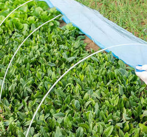 Tomate grimpante concombre poteaux de clôture piquets de poteau végétal prend en charge l'agriculture arc hangar support - Product Image 2