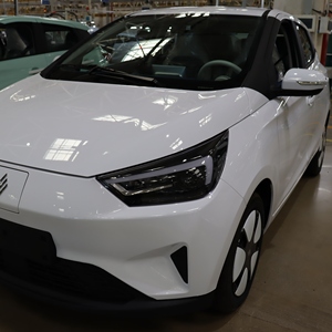 Nuova <span class=keywords><strong>Auto</strong></span> Elettrica EV3 LHD ad Alta Velocità, 4 Posti, 5 Porte, Autonomia 290km - Product Image 1