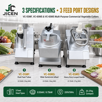 Machine à couper les légumes JICEN, 5 lames en acier inoxydable, pour cuisine de restaurant