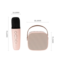 Vente chaude 2024, micro karaoké Bluetooth pour salon, haut-parleur karaoké, 2 micros sans fil, machine karaoké pour enfants, haut-parleur
