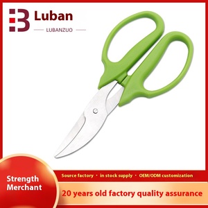 Ciseaux à bonsaï en acier inoxydable pour la cueillette <span class=keywords><strong>de</strong></span> fruits <span class=keywords><strong>Amazon</strong></span> bricolage outils <span class=keywords><strong>de</strong></span> jardinage - Product Image 2