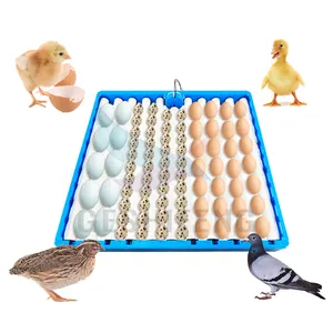 Automatic Egg Tray For Incubator/egg Turner Motor Egg Incubator Accessories