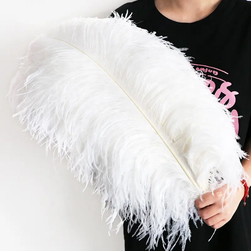 Plume en gros artisanat fournisseur pleine grandeur 10-80 cm naturel pas cher vente blanc grandes plumes d'autruche plumas pour mariage