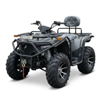 Quad 4 roues tout-terrain à essence Bashan 300cc pour adultes