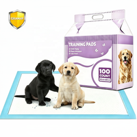 Tapis absorbants jetables en bambou pour chien, anti-fuites, anti-odeurs, imperméables, pour l'apprentissage de la propreté, accessoires pour animaux de compagnie