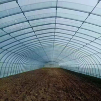 Petit tunnel de serre agricole solaire passif pour la culture hivernale des légumes avec structure d'isolation thermique
