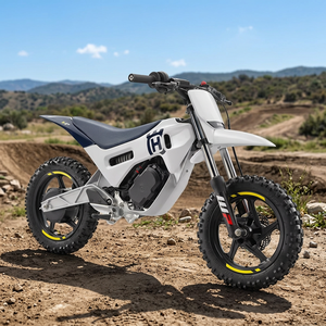 NUEVAS Motocicletas Eléctricas Husqvarna EE 2 2025 de Alta Calidad, Industriales, OEM, en Stock - Product Image 2