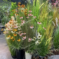 Fausse fleur artificielle en plastique haute simulation faux roseau herbe avec pot pour la décoration de la maison