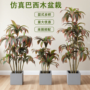 Plante artificielle Dream Castle en bois brésilien 100-200cm, décoration intérieure, bonsaï en pot, verdure - Product Image 1