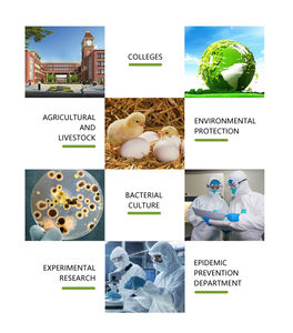 SY-BD225 Professional eletroforese equipamentos laboratório Auto <span class=keywords><strong>Agarose</strong></span> <span class=keywords><strong>Gel</strong></span> eletroforese sistema - Product Image 3