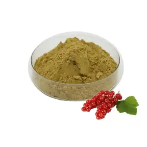 Hot Sale Amla Fruit Powder Amla Extract Powder Amla Powder