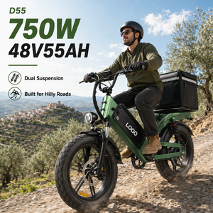 Bicicleta Eléctrica de Carga D55 E-MTB 48V55Ah 750W con Neumáticos Gruesos de 20 Pulgadas, Alcance de 240 km, Bicicleta de Reparto OEM al por Mayor - Product Image 1