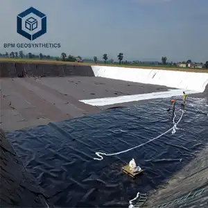 Hope Geomembrane Fish Pond Liner Full Geomembrane Liner For Waste