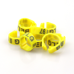 8mm <span class=keywords><strong>10mm</strong></span> פלסטיק יונה רגל רגל טבעות כידון דיגיטלי טבעת פתוח carrier מרוצי יונים יונה עם מילה רגל טבעת - Product Image 1