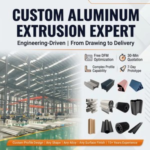 Profilé d'extrusion en aluminium sur mesure pour le refroidissement d'équipements médicaux à ultrasons, usiné par perçage et taraudage - Product Image 2