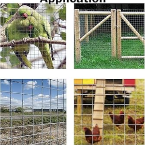 L'usine produit des <span class=keywords><strong>cages</strong></span> pour animaux en treillis métallique soudé galvanisé à chaud Clôtures en fil soudé et panneaux de garde-corps - Product Image 5