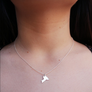 Collana con Ciondolo Stato di New York Inspire Jewelry, Collana Statement con Mappa USA in Acciaio Inossidabile per Uomo/Donna, Personalizzabile con Nome o Logo - Product Image 3