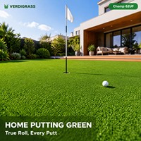 Gazon artificiel pour putting green, haute densité, imperméable, souple, facile à installer pour la pratique à domicile dans la cour.