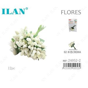 Bouquet di Fiori Secchi ILAN Flores Cream 12 Pezzi per Decorazione - Product Image 1