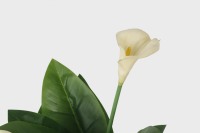 Plante artificielle en plastique au toucher réel, Calla Lily Bonsai, 107 cm, 18 feuilles, jaune vert, écologique, résistante aux UV, haute qualité, pour intérieur