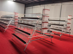 Pondoir pour 5000-10000 poulets, type A, structure en H, 3 niveaux, 4 étages, cage à batterie avec échelle, cage à poules pondeuses galvanisée, système d'abreuvement et d'alimentation - Product Image 5