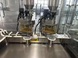 Máquina automática de tapado <span class=keywords><strong>y</strong></span> llenado de polvo de viales de 2/4 cabezales, llenado <span class=keywords><strong>y</strong></span> tapado de alta precisión de 1-20g - Product Image 2