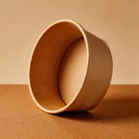 Bol en papier kraft biodégradable imprimé sur mesure, durable et robuste, avec couvercle, pour le camping et les plats à emporter