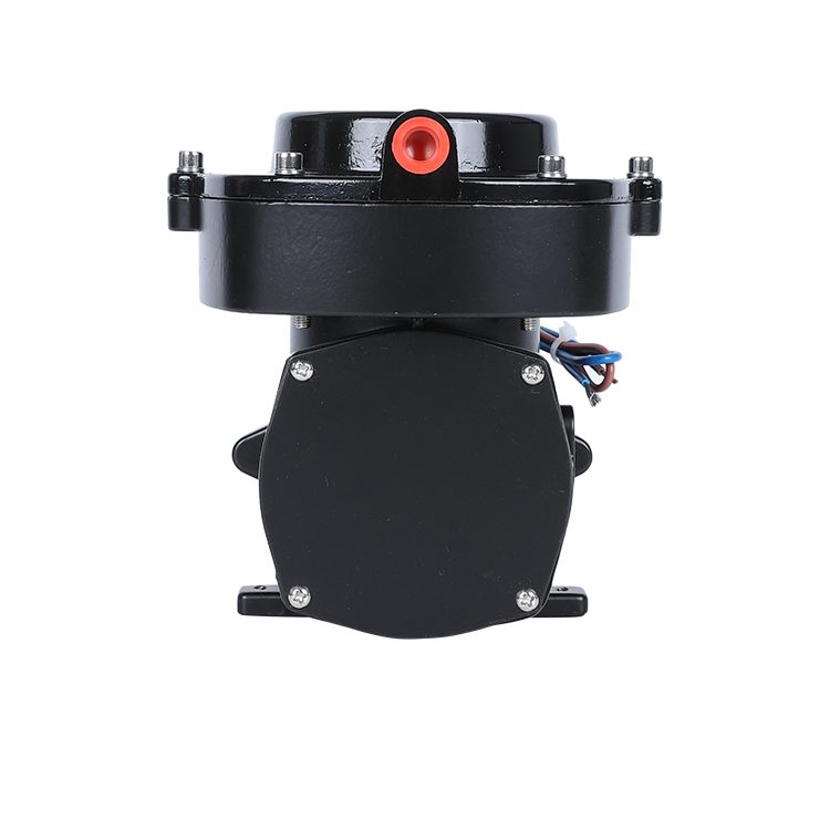 12v 工厂便携式水肺潜水呼吸泵迷你潜水 12v 直流压缩机 - buy mini