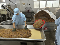 Brote de bambú orgánico secado al sol sin azufre, verduras conservadas naturales directamente de fábrica china