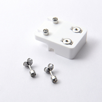 Staalkleur April Geboortesteen Dozijn Oren Piercing Oorknopjes Allergievrije Roestvrijstalen Piercing Sieraden Gebruiken In Piercer