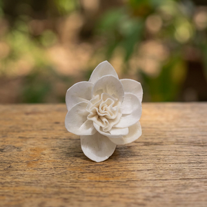 Wholesale White 5 cm Sola Wood Artificial Thailand Dried <b>Reed</b> <b>Diffuser</b> Environmental Friendly Wedding Decorative Flowers Plants - Product Image 2