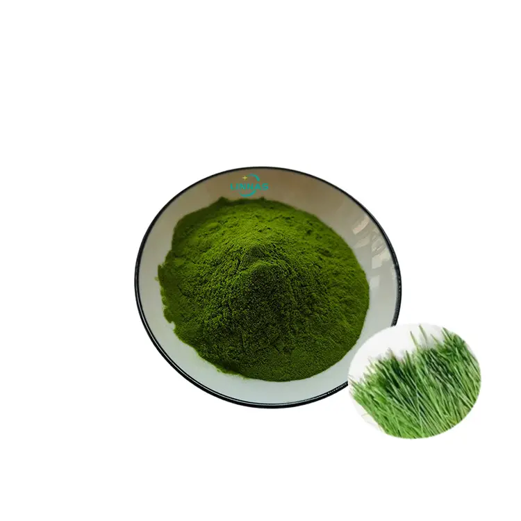 Polvo de jugo de hierba de cebada de etiqueta privada OEM, polvo de hierba de cebada pura orgánica 100% a granel de fabricantes