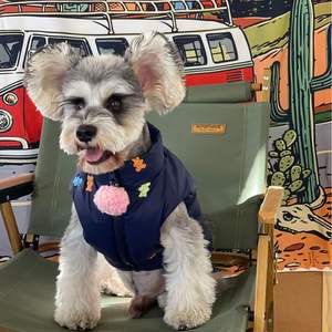 ג 'קסנרי חורף דוב כלב ברווז למטה בגדים עבים בול צרפתי כלב חם מעיל כלב - Product Image 2