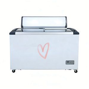 Congelador Horizontal Comercial para Supermercado, 110V60Hz, Puerta Curva de Vidrio Deslizante, <span class=keywords><strong>308L</strong></span> - Product Image 1