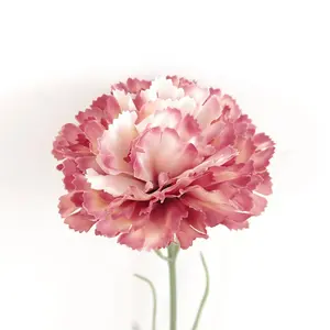 Mother's Day 2022 factory direct wholesale multicolor single stem Carnation