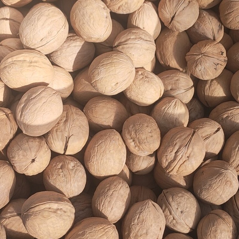 33 Organic In Shelled Half Whole