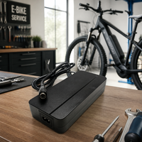 Chargeur de batterie au lithium haute efficacité 54,6V2A, adaptateur de charge rapide pour vélo électrique Stella, personnalisation ODM, prise Phylion 5 broches