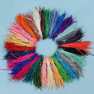 Natural Feathers wholesale cheap bulk dyed 10-20cm goose biot feathers for hair hats and shoes decoration