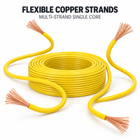 Fil de cuivre flexible multibrins BVR de 0,5 mm² à 50 mm², câble monoconducteur isolé en PVC pour panneaux électriques
