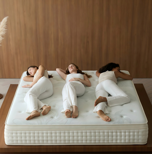 <b>Foam</b> Mattress Queen Size Medium Firmness Breathable Cotton Fabric Cover Minimalist Design for Bedroom Home Furniture - Product Image 2