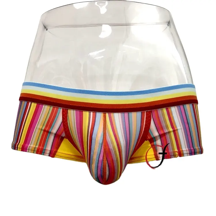 Conception originale corée hommes populaire taille basse arc-en-ciel boxer mâle sexy 3d pochette sous-vêtements couleur pleine sous-vêtements pour homme de la mode