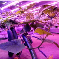 Допустимая длина, трубка T8 для выращивания растений в теплице, садоводство T8, светодиодная лампа для выращивания растений